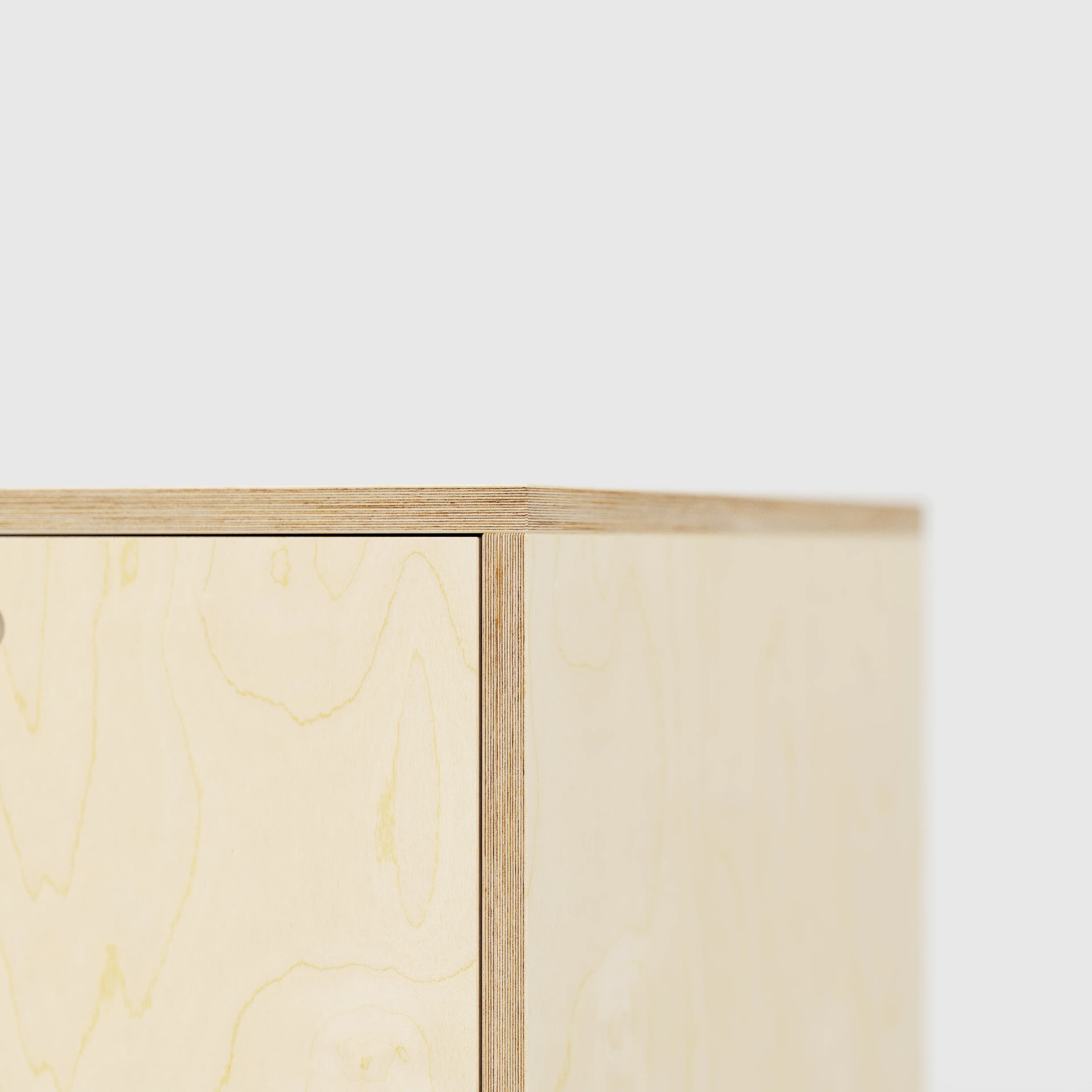 Plywood Desk with Storage Type 1 RH - Door - Plywood Birch - 1600(w) x 800(d) x 750(h) - Image 4